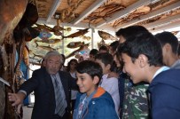 MUSTAFA YıLDıZ - Öğrencilere TEOG Öncesi Balık Dopingi