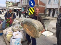 65 Kiloluk Kabak Şaşırttı