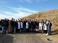 OSMAN KARAASLAN - AK Parti Gölbaşı Teşkilatı 24 Kasım'da 24 Fidan Dikti.