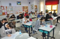 FEN BILGISI - Bozüyük'te TEOG Sınavı Heyecanı