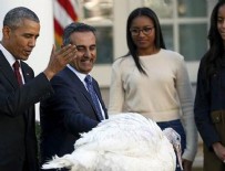 ŞÜKRAN GÜNÜ - Obama Şükran Günü hindisi affetti