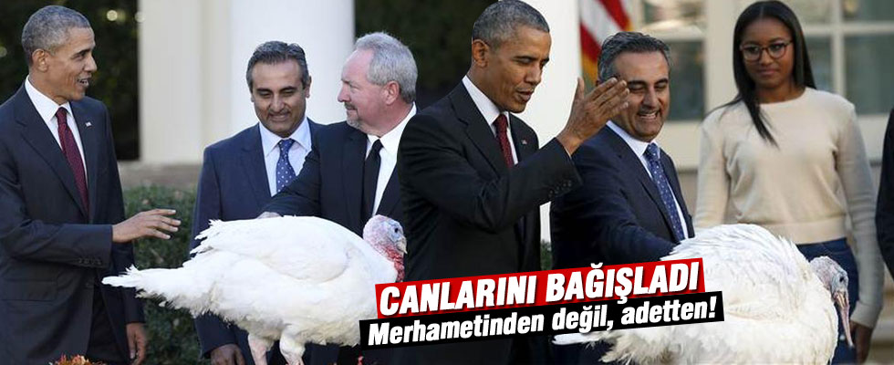 Obama Şükran Günü hindisi affetti