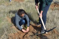 Öğretmenler Gününde Bin Fidan Toprakla Buluşturuldu