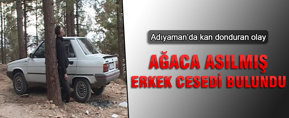 Ağaca asılı erkek cesedi bulundu