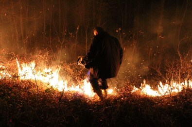 Akkuş'ta Orman Yangını
