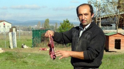 Çiçek Ve Tüberkülozdan Sonra Sarılık Hastalığı Kabusu