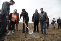 Kadınlar Özgürlüğe Güvercin Uçurdu