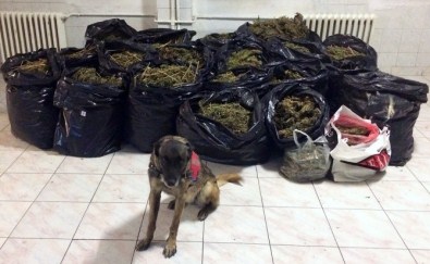 Eskişehir'de 400 Bin TL'lik Esrar Ele Geçirildi
