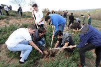 AYDOS ORMANI - Öğrenciler Yeşil Bir Doğa İçin Fidanları Toprakla Buluşturdu