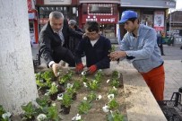 Alaplı'da 25 Bin Çiçek Dikilecek