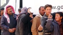 TARIM İŞÇİSİ - Suriyeliler Ülkelerine Dönüyor