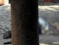 TAHİR ELÇİ - Tahir Elçi'nin ön otopsi raporu açıklandı