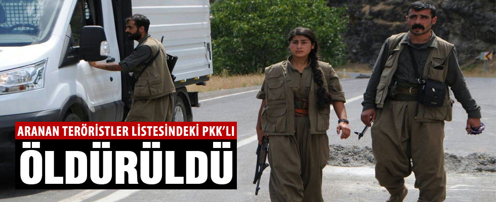 Bakın o  PKK'lı kim çıktı?