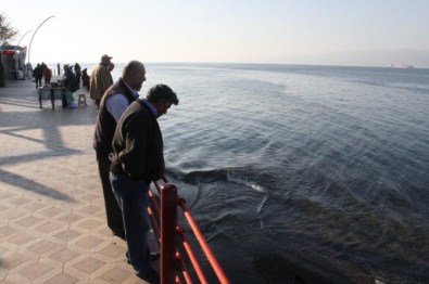 Balıkçılar Bununla İlk Kez Karşılaştı