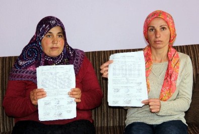 Kastamonu'da 40 Büyükbaş Hayvan, Tüberkülozdan Telef Oldu