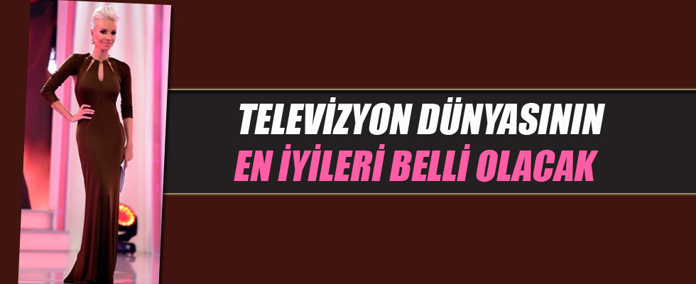 Türkiye'nin televizyon Oscarları sahiplerini bulacak