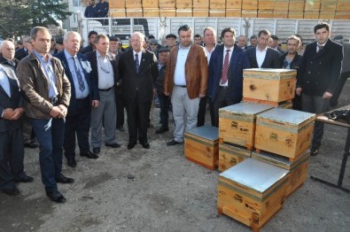 Arıcılara Hediye Kovan