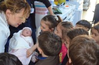 ÖNDER CAN - Bu Minikler Artık Soruları İle Büyükleri Terletmeyecek