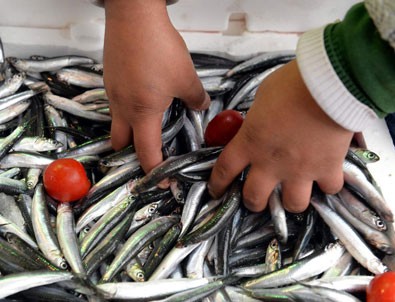 Hamsinin fiyatı 8 liraya kadar yükseldi