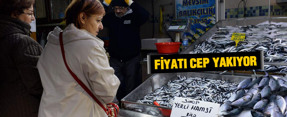 Hamsinin fiyatı 8 liraya kadar yükseldi