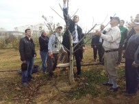 ÇAVUŞKÖY - Malkara'da çiftçilere budama eğitimi verildi