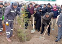 ŞEHİT AİLELERİ DERNEĞİ - Meram'da Şehit Aileleri Hatıra Ormanı Oluşturuldu