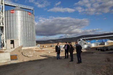 Sertifikalı Tohum Kullanımı Yaygınlaşıyor