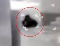 Silvan'da hain tuzak: 3 polis şehit