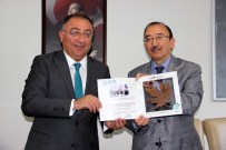 VEFA SALMAN - 2. Uluslararası Resim Sempozyumu Yalova'da Yapılacak