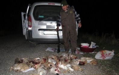 16 Adet Yaban Tavşanını Vuran 4 Kişi Yakalandı