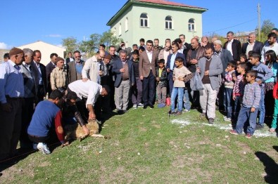 Çemişgezek Kaymakamlığı Düğün Salonu Yaptırıyor