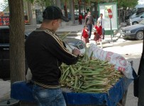 ÇITLEMBIK - 'Içkın' Kanser Hücrelerini Öldürüyor