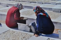 SALIH ALTUN - Şehidin Mezarını 40 Yıl Sonra Ziyaret Ettiler