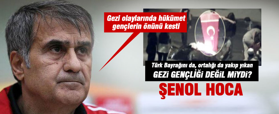 Şenol Güneş: Hükümet Gezi'de gençliğin önünü kesti