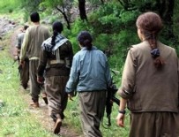 Şırnak, Hakkari Ve Şanlıurfa'da 10 terörist teslim oldu