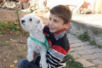 FARUK YıLDıRıM - Cumhurbaşkanı Erdoğan Minik Ömer'i Sevindirdi