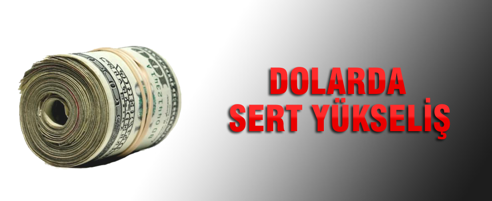 Dolar 2,88'i aştı