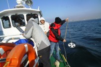 DİP AKINTISI - İzmit Körfezi'nde Kirlilik Yok
