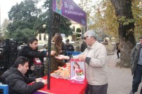 LALE FESTİVALİ - Kocaeli Lale'ye Doyacak