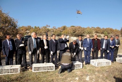 Bakan Veysel Eroğlu Doğaya Keklik Saldı