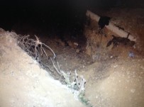 Define Avcıları Suçüstü Yakalandı