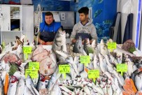 BALIK NESLİ - Marmara'da Balık Bereketi