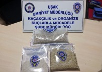 Uşak'ta Bonzai Maddesi Ele Geçirildi