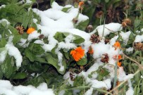 KAR TOPU - Ardahan'a İlk Kar Yağdı