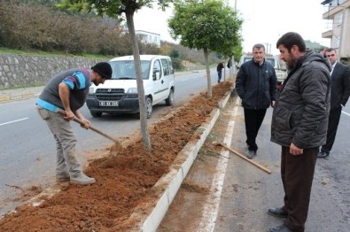 Bahar Mevsiminde Akçakoca Gül Kokacak