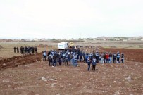 KENT ORMANI - Diyarbakır'da Polis Zabıta İşbirliği