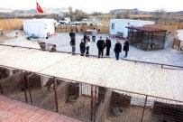 BAŞPıNAR - Akhaykor Barınakları Ziyaret Etti