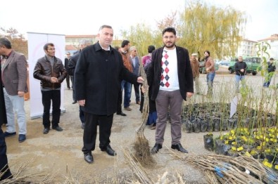 Aksaray'da Çiftçilere 7 Bin 80 Adet Meyve Fidanı Dağıtıldı