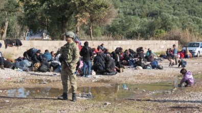 Ayvacık Sahillerinde Bin 491 Mülteci Yakalandı