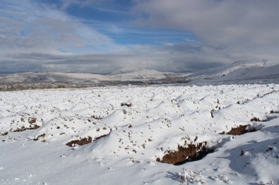 Doğu'da Kışın Ölmek Zor